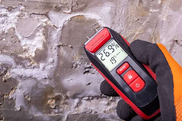 Best Residential Mold Remediation in Fredericksburg, VA