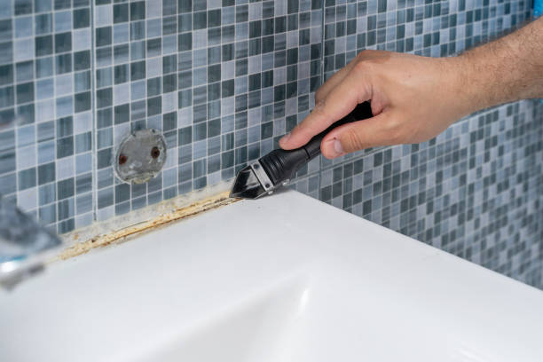Best Localized Mold Remediation (e.g., coastal areas, humid climates) in Fredericksburg, VA