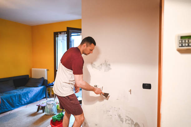 Best Emergency Mold Remediation in Fredericksburg, VA